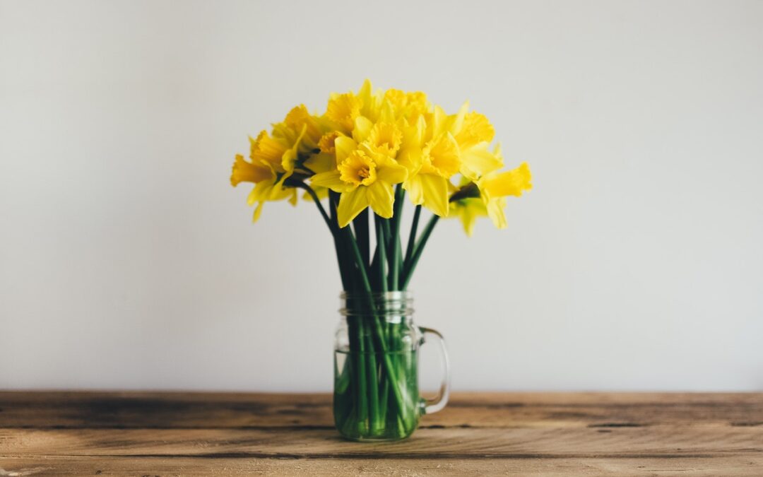 saint davids day