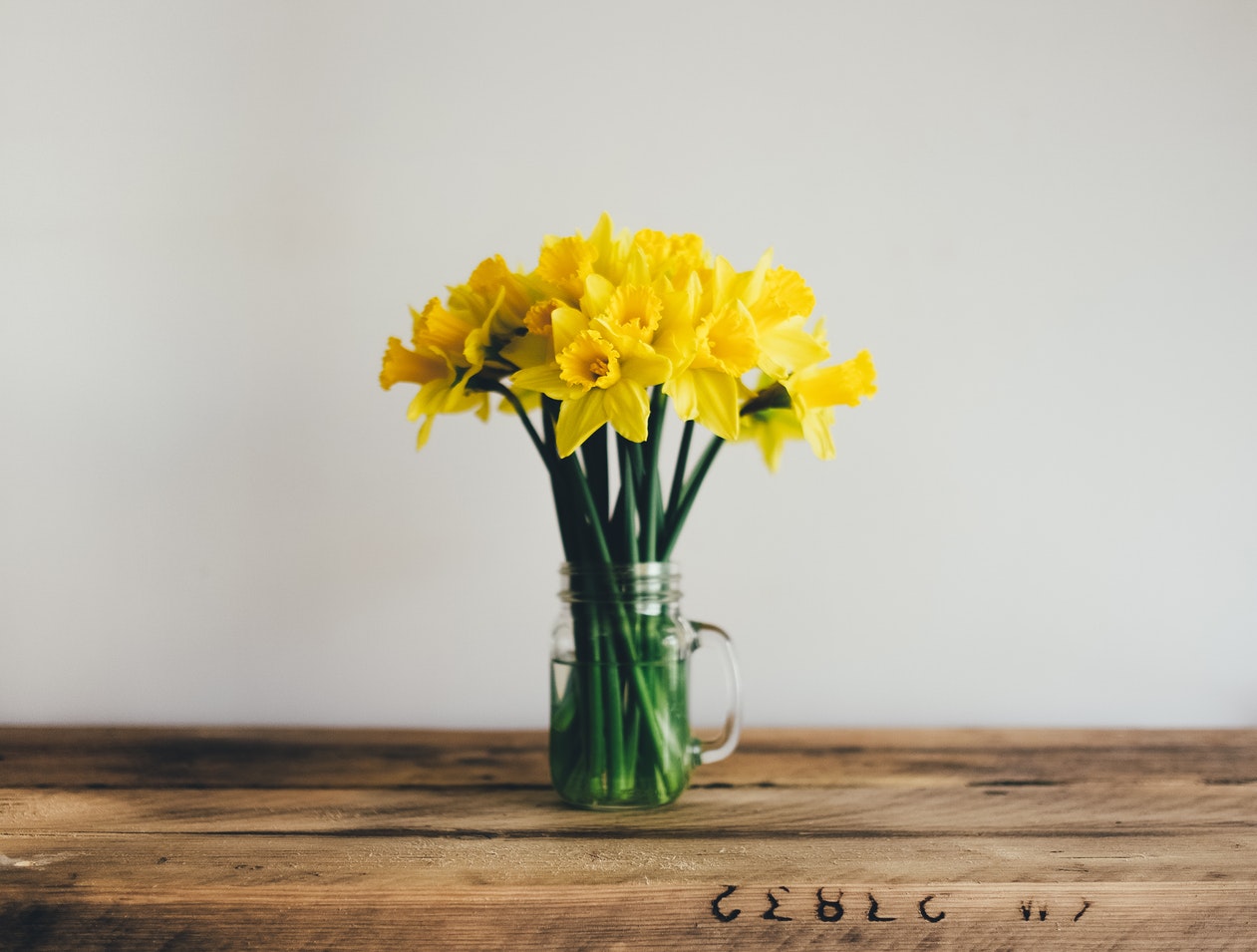 saint davids day